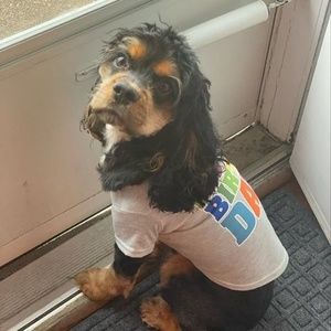 Meet your Posher, Velma
